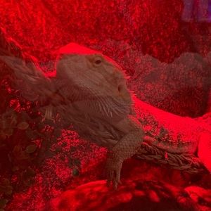 Meet your Posher, Nichole